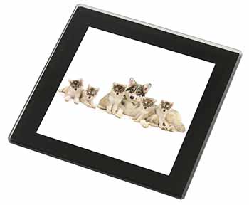 Utonagan Puppy Dogs Black Rim High Quality Glass Coaster