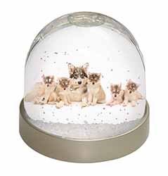 Utonagan Puppy Dogs Snow Globe Photo Waterball