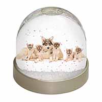 Utonagan Puppy Dogs Snow Globe Photo Waterball