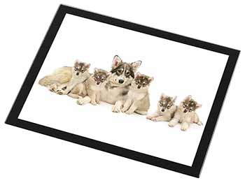 Utonagan Puppy Dogs Black Rim High Quality Glass Placemat