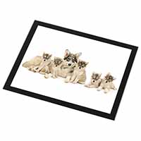 Utonagan Puppy Dogs Black Rim High Quality Glass Placemat