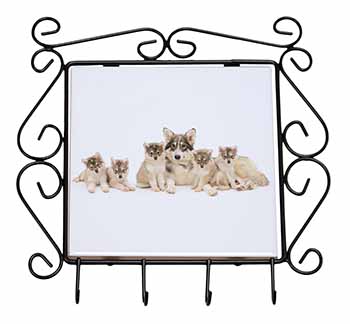 Utonagan Puppy Dogs Wrought Iron Key Holder Hooks