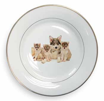 Utonagan Puppy Dogs Gold Rim Plate Printed Full Colour in Gift Box
