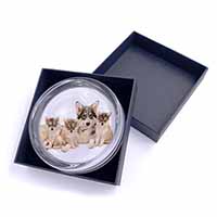 Utonagan Puppy Dogs Glass Paperweight in Gift Box