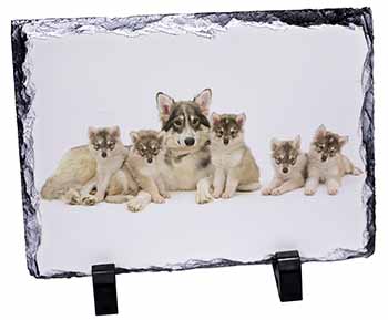 Utonagan Puppy Dogs, Stunning Photo Slate