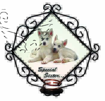 Huskies 