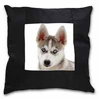 Siberian Husky Black Satin Feel Scatter Cushion