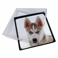 4x Siberian Husky Picture Table Coasters Set in Gift Box