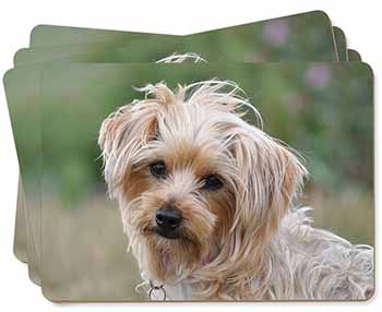 Yorkshire Terrier Dog Picture Placemats in Gift Box