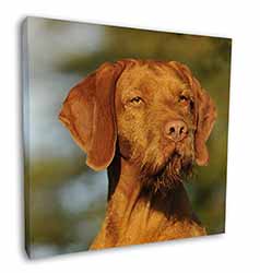Hungarian Vizsla Wirehaired Dog 12"x12" Canvas Wall Art Picture Print