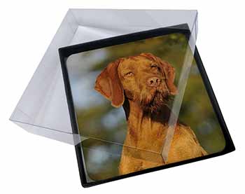 4x Hungarian Vizsla Wirehaired Dog Picture Table Coasters Set in Gift Box