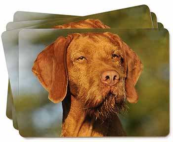 Hungarian Vizsla Wirehaired Dog Picture Placemats in Gift Box
