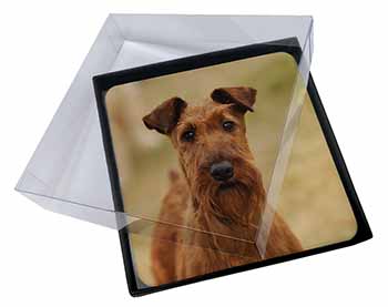 4x Irish Terrier Dog Picture Table Coasters Set in Gift Box