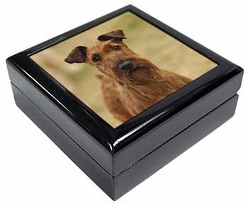 Irish Terrier Dog Keepsake/Jewellery Box
