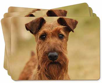 Irish Terrier Dog Picture Placemats in Gift Box