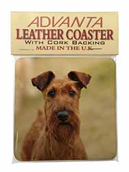 Irish Terrier Dog Single Leather Photo Coaster