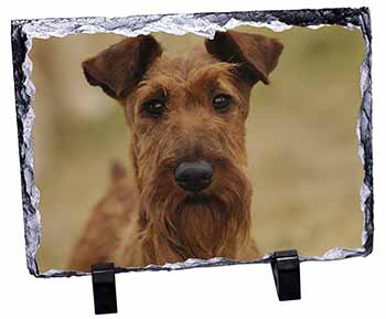 Irish Terrier Dog, Stunning Photo Slate
