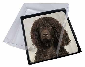 4x Irish Water Spaniel Dog Picture Table Coasters Set in Gift Box