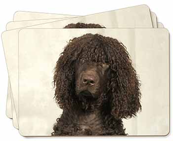 Irish Water Spaniel Dog Picture Placemats in Gift Box