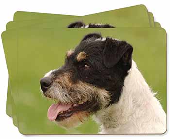 Jack Russell Terrier Dog Picture Placemats in Gift Box