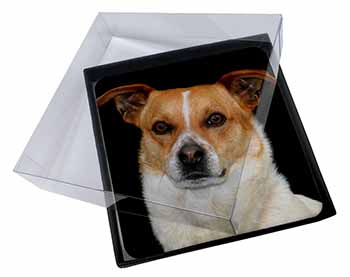 4x Jack Russell Terrier Dog Picture Table Coasters Set in Gift Box