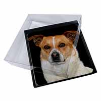 4x Jack Russell Terrier Dog Picture Table Coasters Set in Gift Box