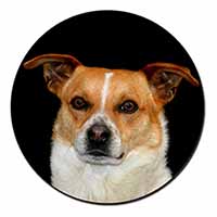 Jack Russell Terrier Dog Fridge Magnet Printed Full Colour