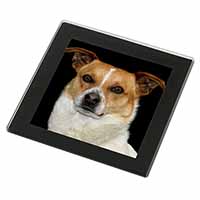 Jack Russell Terrier Dog Black Rim High Quality Glass Coaster