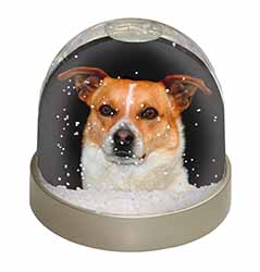 Jack Russell Terrier Dog Snow Globe Photo Waterball