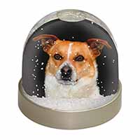 Jack Russell Terrier Dog Snow Globe Photo Waterball