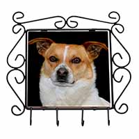Jack Russell Terrier Dog Wrought Iron Key Holder Hooks