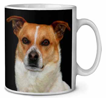 Jack Russell Terrier Dog Ceramic 10oz Coffee Mug/Tea Cup