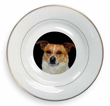 Jack Russell Terrier Dog Gold Rim Plate Printed Full Colour in Gift Box