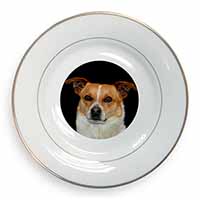 Jack Russell Terrier Dog Gold Rim Plate Printed Full Colour in Gift Box