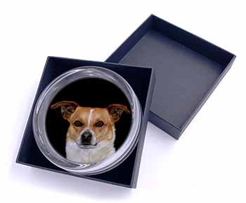 Jack Russell Terrier Dog Glass Paperweight in Gift Box