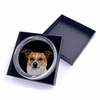 Jack Russell Terrier Dog Glass Paperweight in Gift Box