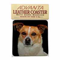 Jack Russell Terrier Dog Single Leather Photo Coaster