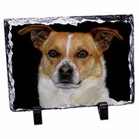 Jack Russell Terrier Dog, Stunning Photo Slate