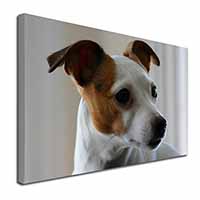 Jack Russell Terrier Dog Canvas X-Large 30"x20" Wall Art Print