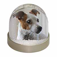 Jack Russell Terrier Dog Snow Globe Photo Waterball