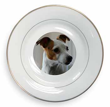 Jack Russell Terrier Dog Gold Rim Plate Printed Full Colour in Gift Box