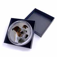 Jack Russell Terrier Dog Glass Paperweight in Gift Box