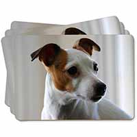 Jack Russell Terrier Dog Picture Placemats in Gift Box