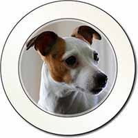 Jack Russell Terrier Dog Car or Van Permit Holder/Tax Disc Holder