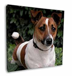 Jack Russell Terrier Dog Square Canvas 12"x12" Wall Art Picture Print