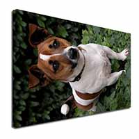 Jack Russell Terrier Dog Canvas X-Large 30"x20" Wall Art Print