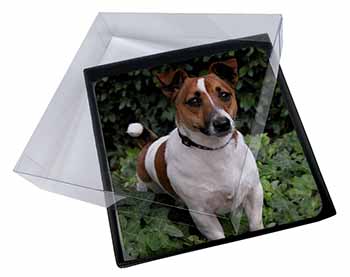 4x Jack Russell Terrier Dog Picture Table Coasters Set in Gift Box