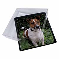 4x Jack Russell Terrier Dog Picture Table Coasters Set in Gift Box