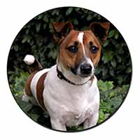 Jack Russell Terrier Dog Fridge Magnet Printed Full Colour