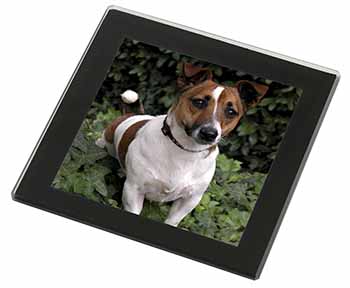 Jack Russell Terrier Dog Black Rim High Quality Glass Coaster